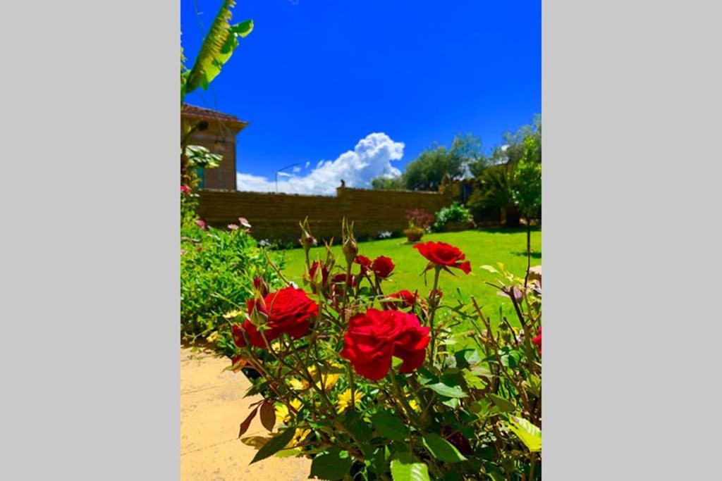 Flowery House Miglianico Luaran gambar