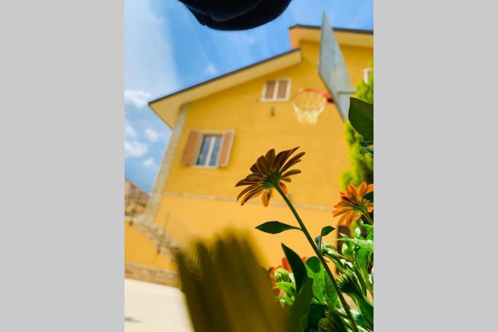 Flowery House Miglianico Luaran gambar